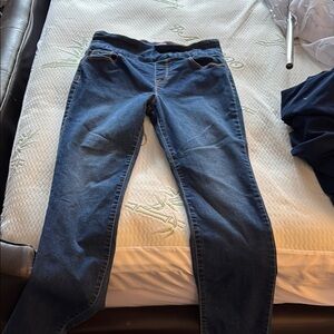 Gloria Vanderbilt Blue Skinny Jeans Classic Fit
